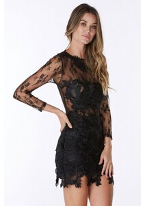 Beautiful, slim fitting sheer lace dress!.jpg