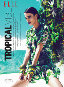Tropical+Vibe+1.jpg