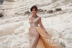 Perfect wedding dresses Tesoro (17).jpg