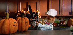 C5EF29E3-2535-476A-8859-41B469512588.gif