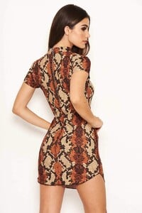 Rust-Animal-Print-Bodycon-High-Neck-Dress-3_800x.jpg