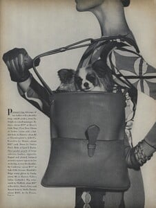 Splash_Penn_US_Vogue_March_15th_1965_09.thumb.jpg.3b83aaabe9389f08ce5c2cbdad8b1077.jpg