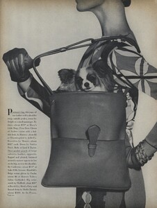 Splash_Penn_US_Vogue_March_15th_1965_09.thumb.jpg.f7e6b6b34614db97040fad92ce2e4f11.jpg