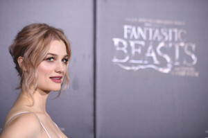 Fantastic+Beasts+Find+Them+World+Premiere+vbkAFwTZJ8px.jpg