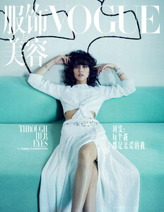 liu201120BZNimage102.jpg