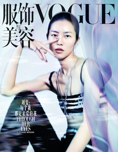 liu201120BZNimage105.jpg