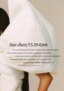 zen111120BZNimage103.jpg