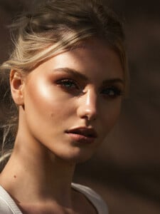 411134_hires.jpg
