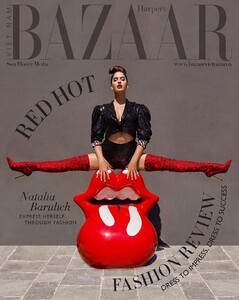 Bazaar Vietnam 1120.jpg