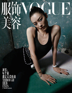 liu201120BZNimage106.jpg