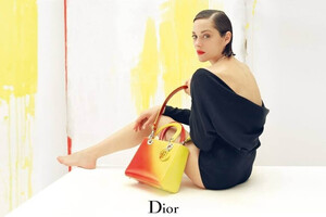 Marion-Cotillard-hot-picture.jpg