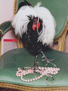 Meier_US_Vogue_December_2005_01.thumb.jpg.38216732eaf76ebbb6b5d21c4f4bed79.jpg