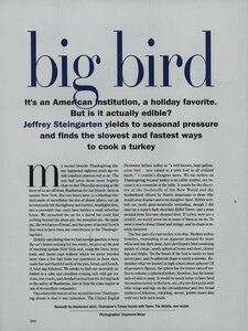 Meier_US_Vogue_November_1992_01.thumb.jpg.4dc610aabaf28992f84133a4ca6593ef.jpg