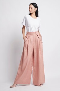 S16-19AJ3024_Cove_Pant_Dusty_Rose-20135-AJE-4L-2168.jpg