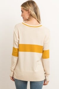 Side_zipper_sweater_back__09557.1572485213.1280.1280.jpg