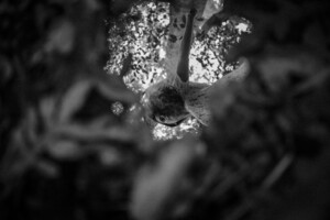_MG_4634.thumb.jpg.944cd46da6d42b8086b2fbb823caf63f.jpg