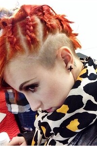 hayley-williams-hair-9-500x750.jpg