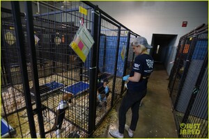 kate-mara-assists-humane-society-with-animal-cruelty-case-in-ohio-06.jpg