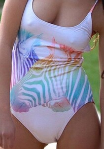wildfox-swim-2014-rainbow-zebra-one-piece-swimwear_top.jpg