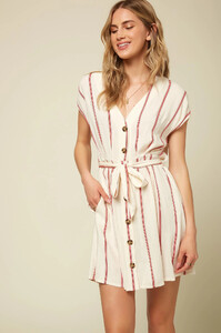 Lina Stripe Dress _ O'Neill_0001.jpg