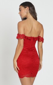 mykindofnightdressinredlace5.jpg