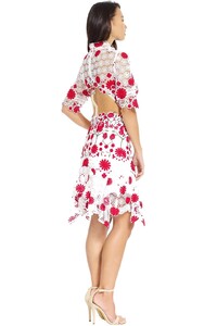 thurley_-_english_rose_dress_-_white_-_back_.jpg