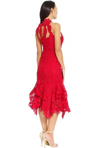 thurley_-_waterlilly_midi_dress_-_red_-_back.jpg