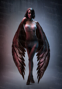0015110152546_01_1173123-mysterious-beauty-zoom_90.thumb.jpg.ae13bd26172d0df2a220af5e10225a7e.jpg