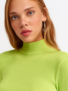 101a02542_lime-3.jpg