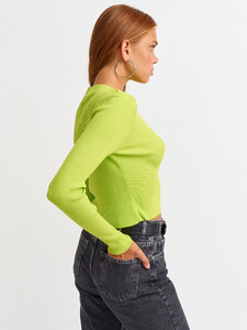 101a02545_lime-1.jpg