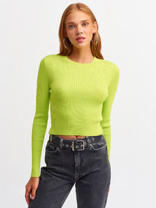 101a02545_lime.jpg