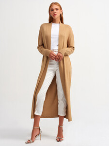 101a02671_camel-2.jpg