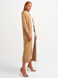 101a02671_camel.jpg
