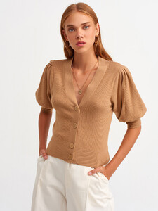 101a02674_camel.jpg