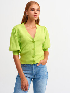 101a02674_lime.jpg