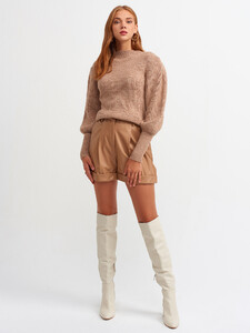 101a02796_camel-2.jpg