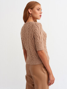 101a02809_camel-2.jpg