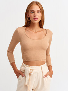 101a03529_camel.jpg