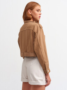 101a06465_camel-1.jpg