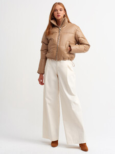 101a06810_camel-2.jpg