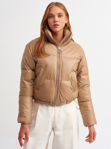 101a06810_camel.jpg