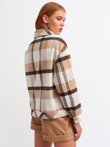 101a06850_camel-1.jpg