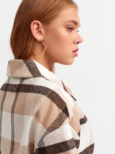101a06850_camel-2.jpg