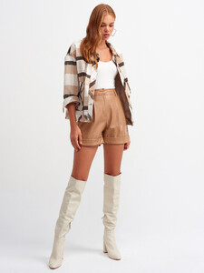 101a06850_camel-3.jpg