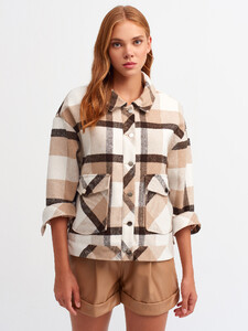 101a06850_camel.jpg