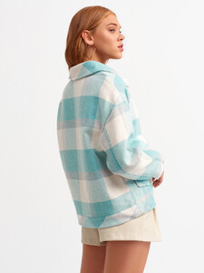 101a06850_mint-2.jpg