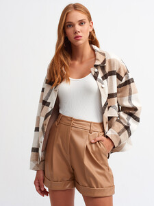 103a07743_camel.jpg