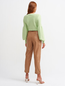 106a07741_camel-1.jpg