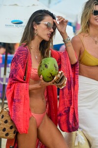       ale030121BZNimage160.jpg