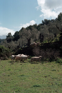 Icíar+J.+Carrasco_Casildasecasa_Mallorca_Look+3_26.jpg